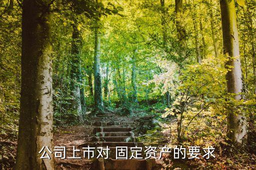 公司上市對 固定資產(chǎn)的要求