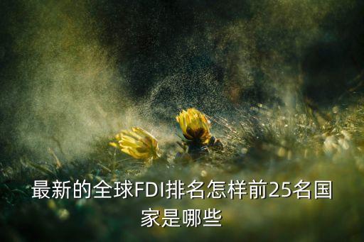 最新的全球FDI排名怎樣前25名國(guó)家是哪些