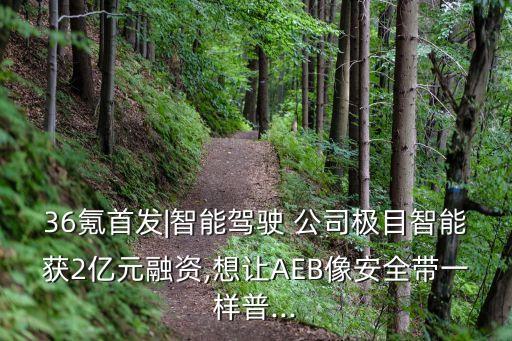 adas公司,ADAS技術(shù)公司有哪些