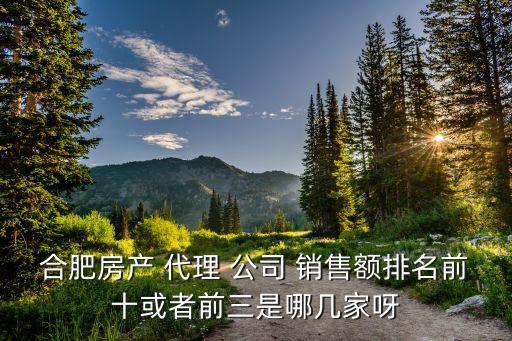 合肥房產(chǎn) 代理 公司 銷售額排名前十或者前三是哪幾家呀