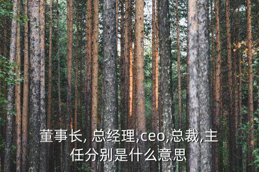 董事長(zhǎng), 總經(jīng)理,ceo,總裁,主任分別是什么意思