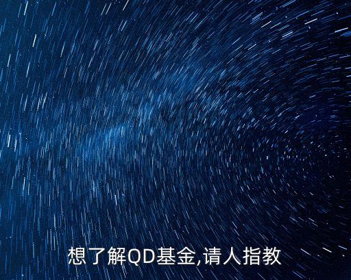 想了解QD基金,請人指教