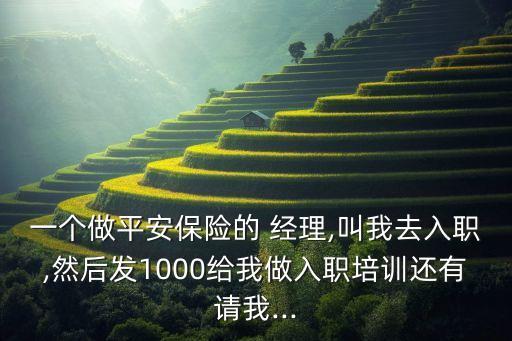 一個做平安保險的 經(jīng)理,叫我去入職,然后發(fā)1000給我做入職培訓(xùn)還有請我...