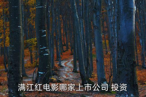 滿江紅電影哪家上市公司 投資