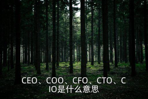 CEO、COO、CFO、CTO、CIO是什么意思