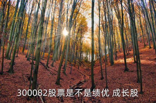 成長(zhǎng)快的上市公司,中國(guó)最具成長(zhǎng)價(jià)值100上市公司