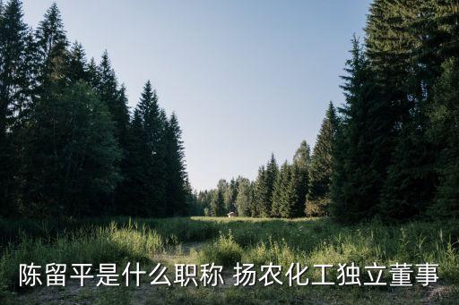 陳留平是什么職稱 揚(yáng)農(nóng)化工獨(dú)立董事