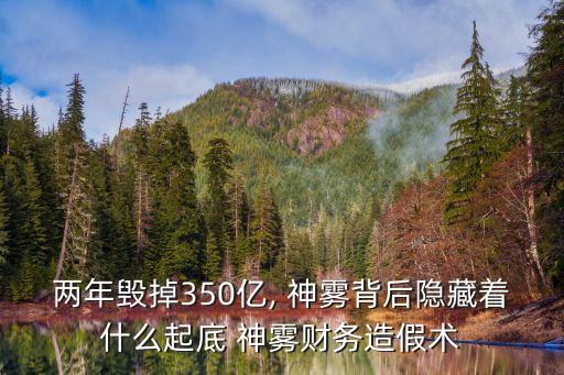 兩年毀掉350億, 神霧背后隱藏著什么起底 神霧財(cái)務(wù)造假術(shù)