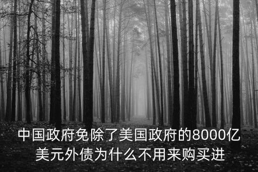 中國政府免除了美國政府的8000億 美元外債為什么不用來購買進