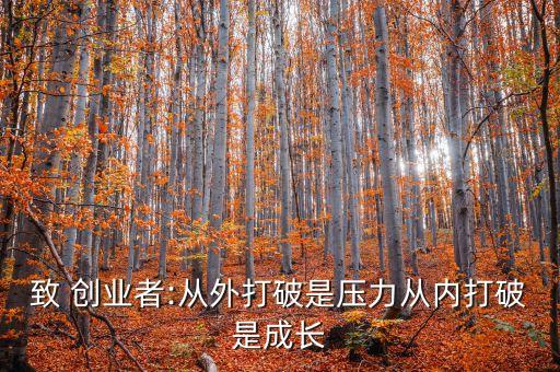 致 創(chuàng)業(yè)者:從外打破是壓力從內(nèi)打破是成長