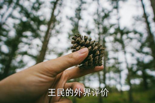 徐工集團(tuán)董事長(zhǎng)王民,徐州徐工集團(tuán)董事長(zhǎng)