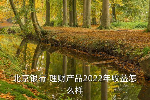 北京銀行 理財產品2022年收益怎么樣