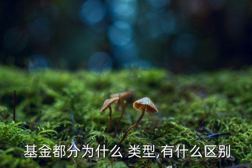  基金都分為什么 類型,有什么區(qū)別