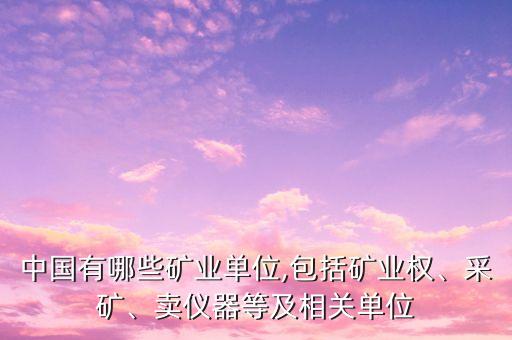 中國有哪些礦業(yè)單位,包括礦業(yè)權(quán)、采礦、賣儀器等及相關(guān)單位