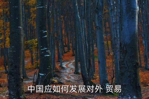 中國(guó)應(yīng)如何發(fā)展對(duì)外 貿(mào)易