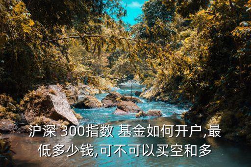 滬深 300指數(shù) 基金如何開(kāi)戶,最低多少錢(qián),可不可以買(mǎi)空和多