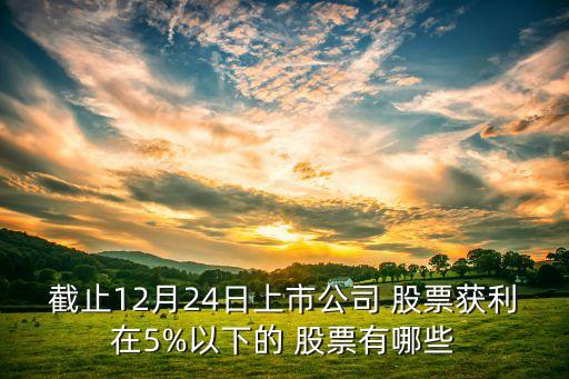 截止12月24日上市公司 股票獲利在5%以下的 股票有哪些