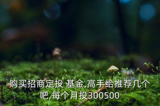 購買招商定投 基金,高手給推薦幾個(gè)吧,每個(gè)月投300500