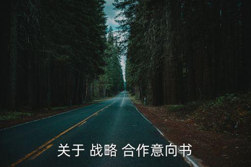 關(guān)于 戰(zhàn)略 合作意向書