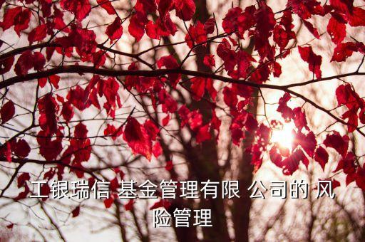 工銀瑞信 基金管理有限 公司的 風(fēng)險(xiǎn)管理