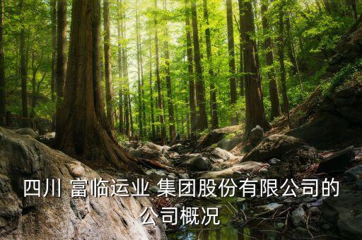 四川 富臨運業(yè) 集團股份有限公司的公司概況