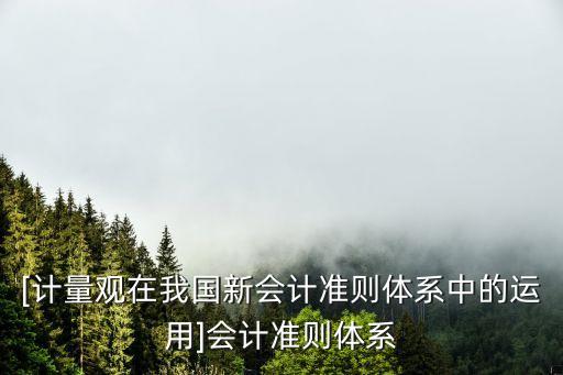 [計(jì)量觀在我國新會(huì)計(jì)準(zhǔn)則體系中的運(yùn)用]會(huì)計(jì)準(zhǔn)則體系