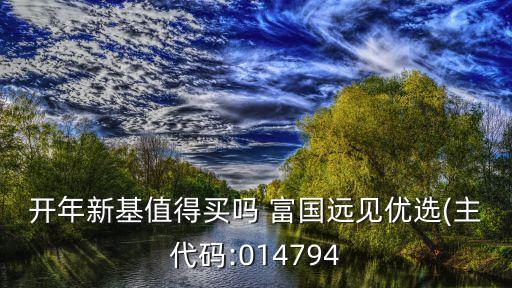 開年新基值得買嗎 富國遠(yuǎn)見優(yōu)選(主代碼:014794