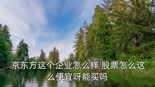  京東方這個企業(yè)怎么樣 股票怎么這么便宜呀能買嗎