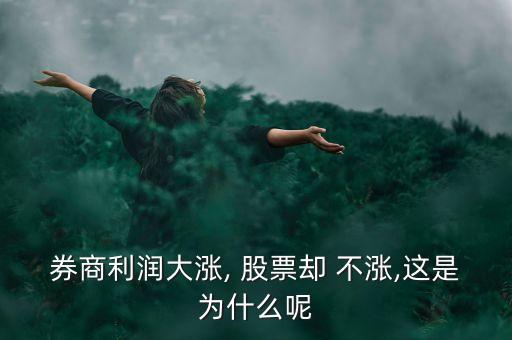 券商利潤(rùn)大漲, 股票卻 不漲,這是為什么呢