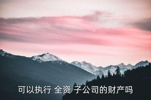 可以執(zhí)行 全資 子公司的財產(chǎn)嗎