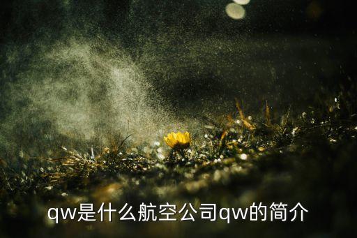 qw是什么航空公司qw的簡(jiǎn)介