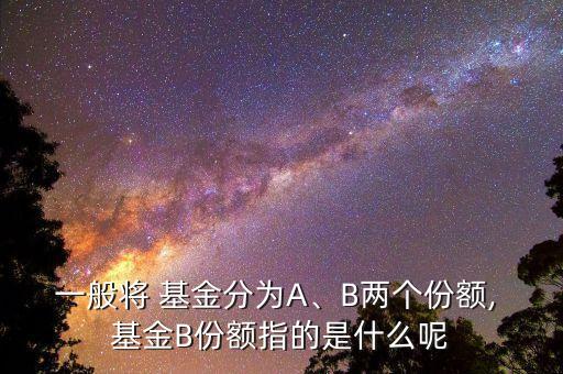 一般將 基金分為A、B兩個(gè)份額, 基金B(yǎng)份額指的是什么呢