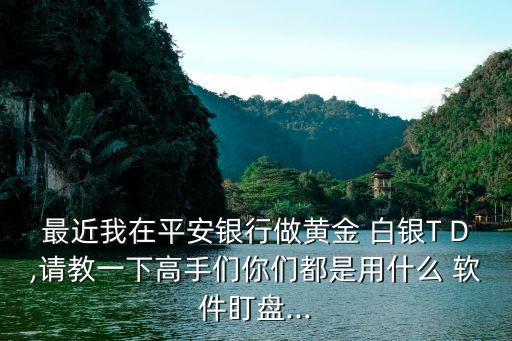 最近我在平安銀行做黃金 白銀T D,請教一下高手們你們都是用什么 軟件盯盤...