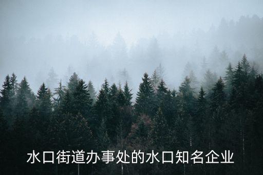 水口街道辦事處的水口知名企業(yè)