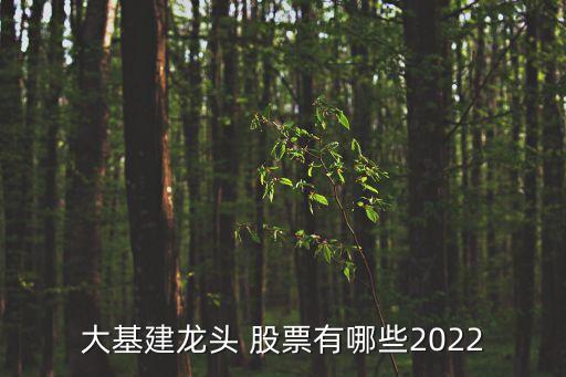 大基建龍頭 股票有哪些2022