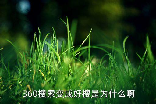  360搜索變成好搜是為什么啊