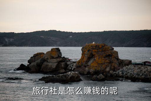 出境游旅游公司利潤,旅游公司利潤點(diǎn)在什么地方