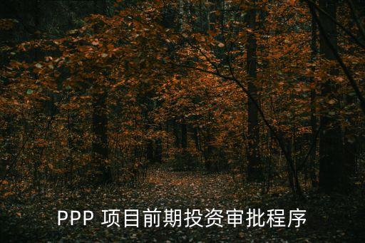 ppp項目公司資本金