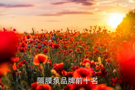 湖南南方長(zhǎng)河泵業(yè)有限公司,高郵長(zhǎng)河泵業(yè)有限公司