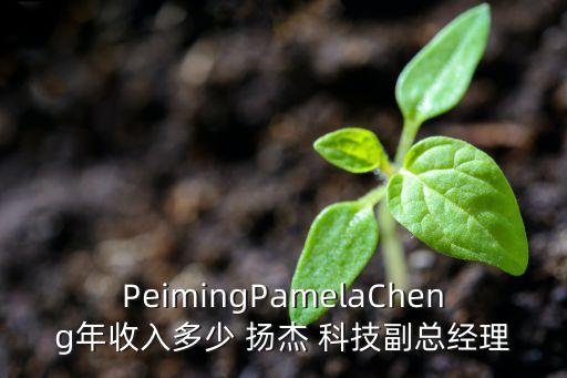 PeimingPamelaCheng年收入多少 揚(yáng)杰 科技副總經(jīng)理