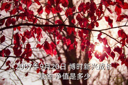 2007年9月20日 博時新興成長 基金 凈值是多少