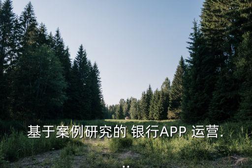 基于案例研究的 銀行APP 運(yùn)營(yíng)...