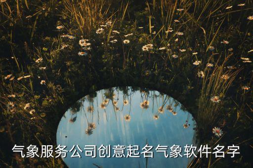 氣象服務(wù)公司創(chuàng)意起名氣象軟件名字