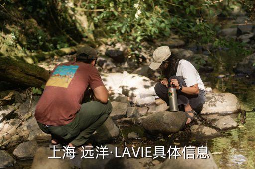  上海 遠洋·LAVIE具體信息