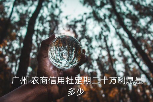 廣州農(nóng)商銀行理財(cái)