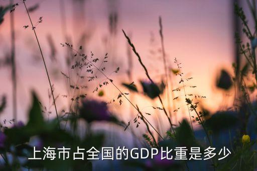  上海市占全國的GDP比重是多少