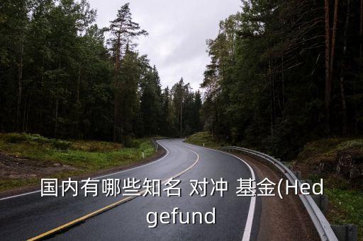 國內(nèi)有哪些知名 對沖 基金(Hedgefund