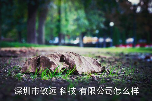  深圳市致遠 科技 有限公司怎么樣