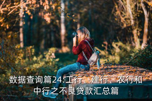 數(shù)據(jù)查詢篇24:工行、建行、農(nóng)行和中行之不良貸款匯總篇