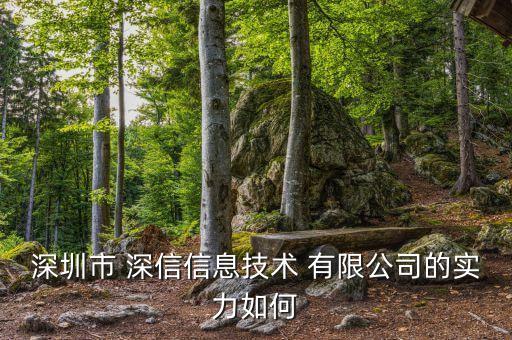 深圳市 深信信息技術(shù) 有限公司的實(shí)力如何